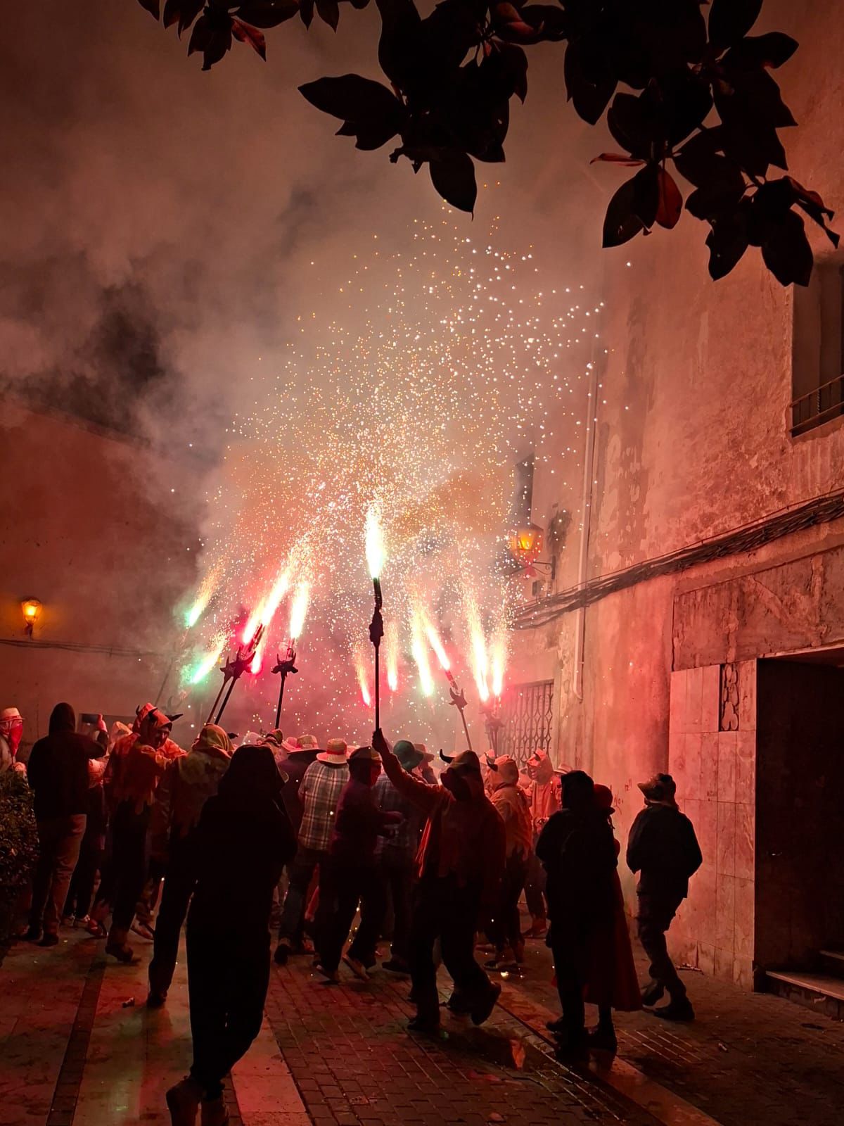 Les Cabres de Sant Procopi